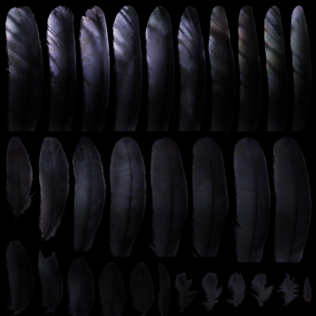 c3510_2_s (2).png